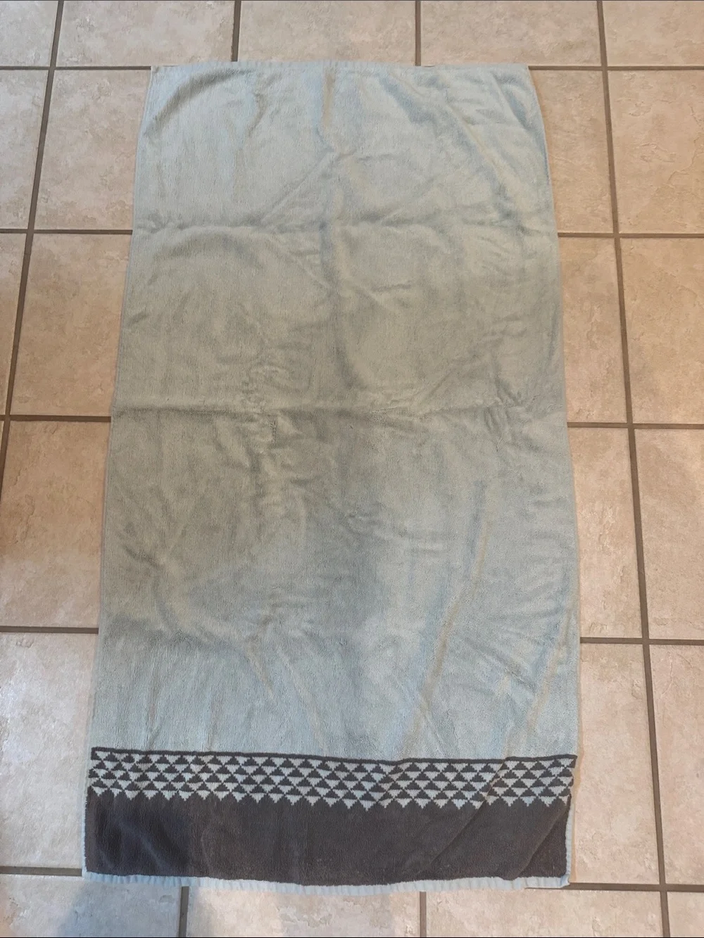 Apt. 9 Light Teal Or Green and Brown Cotton Bath Towels with Geometric Border 5